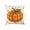 A, variant on Gallickan Fall Pillow Case, Halloween Pumpkin Pillow Cover, Fall Pillowcase Harvest Festival Thanksgiving Holiday Decoration, Soft Sofa Couch Decoration for Home, A