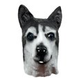 thumbnail image 1 of Funda de látex con capucha de perro Mask Lovely para disfraces de Halloween, 1 of 1
