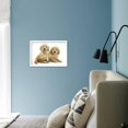 thumbnail image 5 of Miniature Goldendoodle Puppies Golden Retriever X Miniature Poodle Cross Aged 7 Weeks, Lying, Framed Art Print Wall Art by Mark Taylor Sold by Art.Com, 5 of 5