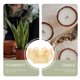thumbnail image 3 of Flower Pot DIY Mold Flower Pot Reusable Plastic Flowerpot Mold Bonsai Pot Mold, 3 of 3