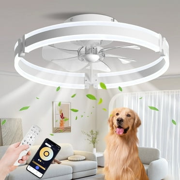 BAYSQUIRREL Ceiling Fans with Lights and Remote, Dimmable Bladeless Ceiling Light, 3 Colors 6 Speeds Reversible, Modern Low Profile Flush Mount Ceiling Fan for Living Room