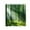 K, variant on Shower Curtain,All Season Theme Picture of a Forest Tree Leaves on an Abstract Woodland Background Print,Essential Accessories for Farm House Bathroom Decoration Cloth Fabric Bath,59x70 Inches