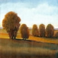 thumbnail image 3 of OToole, Tim 15x15 Black Modern Framed Museum Art Print Titled - Afternoon Light VI, 3 of 5