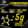 thumbnail image 4 of Creatina Monohidrato 800g | 160 Servicios Sabor Sin Sabor| Forzagen, 4 of 6