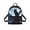 Black Cat Moon Rose Design, variant on Geometric Triangle Small Backpack for Travel Outdoor, Zipper Closure Fashion Rucksack Polyester Mini Backpack with Lots of Pockets for Women