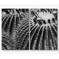 thumbnail image 3 of PixonSign Canvas Print Wall Art Set Hedgehog Cactus Top Botanical Wilderness Photography Modern Art Contemporary Portrait Relax/Calm Dark Black and White for Living Room, Bedroom, Office - 24"x36"x2, 3 of 5