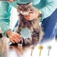 thumbnail image 1 of Fiudx Cepillo para Pelo de Mascotas, Autolimpieza con Un Solo Clic, Mango de Masaje Suave para La Piel, Cerdas de Acero Inoxidable, Desenreda Fácilmente El Pelo, Ideal para Perros y Gatos, Agarre Cóm, 1 of 3