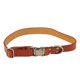 thumbnail image 1 of Collar para Perros de Cuero Collar para Mascotas de Cuero Acolchado Suave con Hebilla Grabada para Perros y Gatos pequeños, medianos y Grandes, Naranja 31‑50 cm/12,2‑20 Pulgadas, 1 of 12
