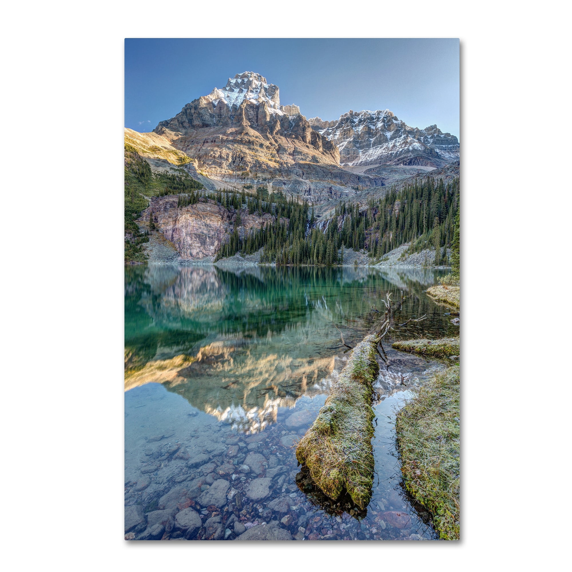 Trademark Fine Art 'Lake O'Hara Scenic Shoreline' Canvas Art by Pierre Leclerc
