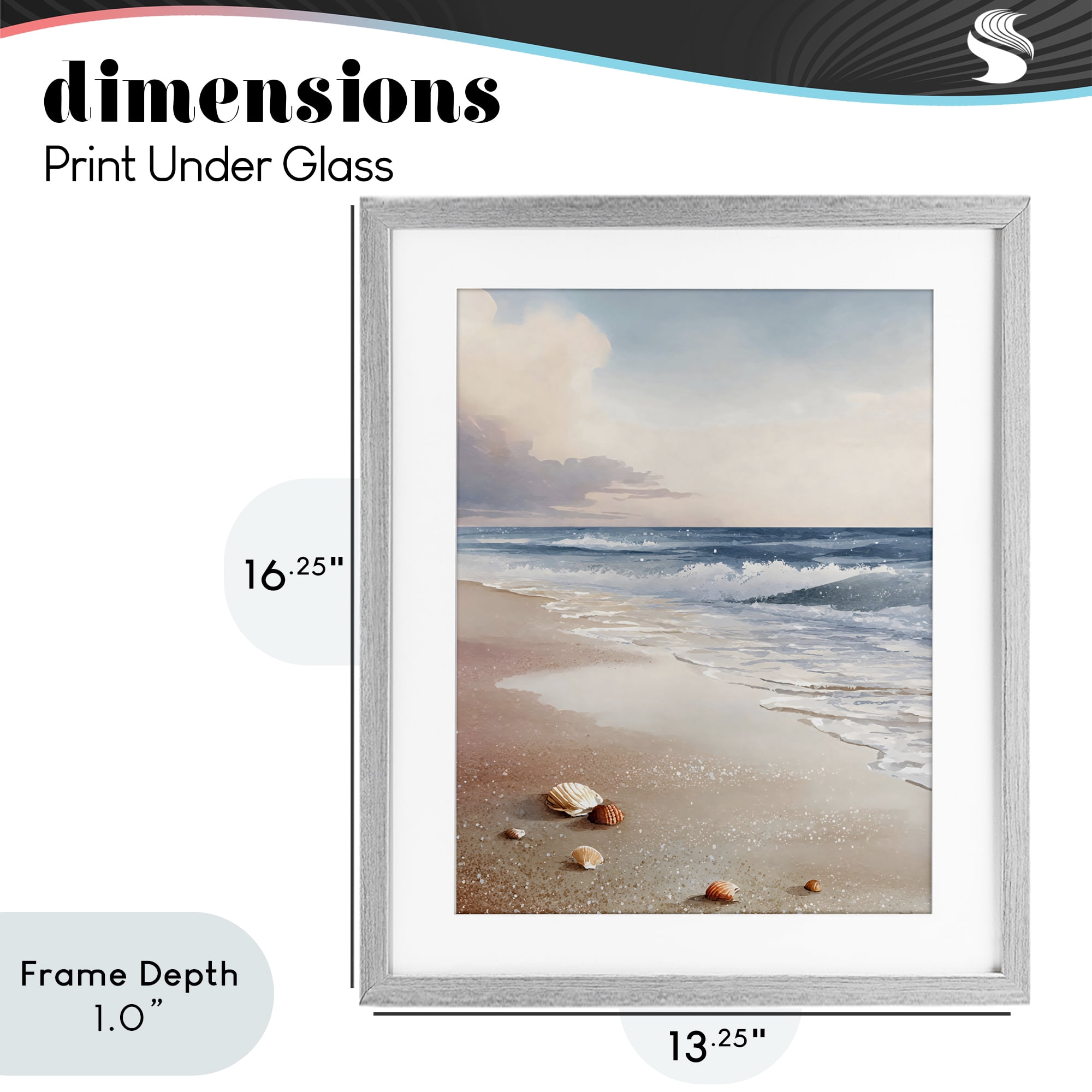 Stupell Industries Washed Up Seashells Gray Framed Print Under Glass, design by Franklyn Gregory