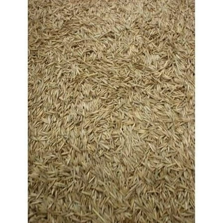 Creeping Red Fescue(Festuca Rubra) Fully Tested, Fast Germination