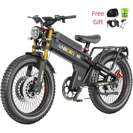 6000W Peak Dual Motor Electric Bike