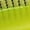 Fluorescent Green, variant on New Seasonal Women'S Casual Shoes with a Comfortable, Stylish, And Minimalist Design., Women Shoes