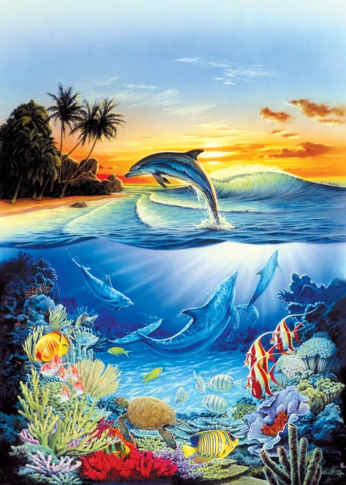 Dolphin Lagoon 2 Poster Print by Robin Koni - Item # VARMGL2145 ...