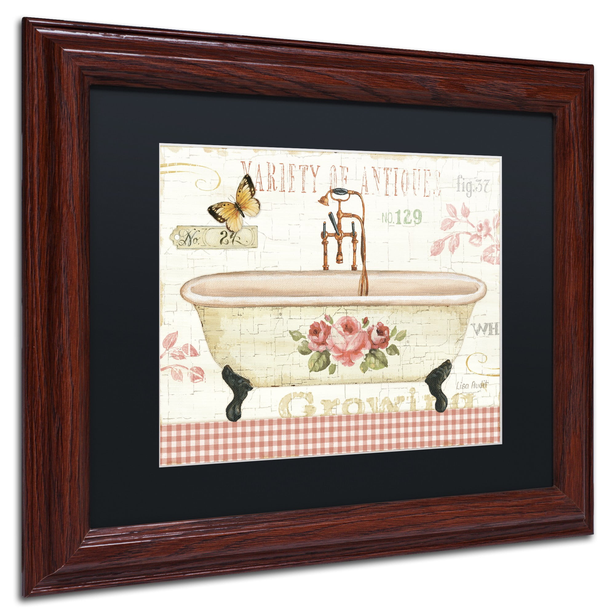 Trademark Fine Art "Rose Garden III no Border" Canvas Art by Lisa Audit, Black Matte, Wood Frame