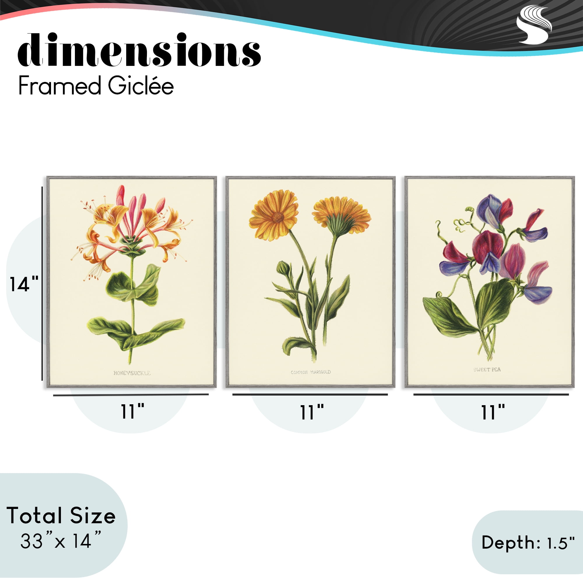 Stupell Industries Flowering Plants Vintage Illustration 3 Piece Gray Framed Giclee Art Set, design by Connie Resch
