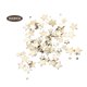 thumbnail image 1 of Patrón de estrella de madera leyfeng 100 Uds DIY decoración, 1 of 7