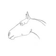 thumbnail image 3 of Scarvey, Emma 15x15 Black Modern Framed Museum Art Print Titled - Equine Pencil Contour I, 3 of 5