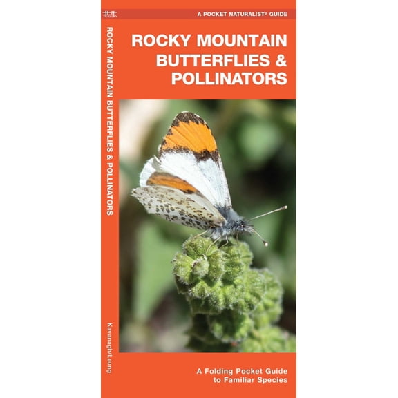 Rocky Mountain Butterflies & Pollinators : A Folding Pocket Guide to Familiar Species (Other)