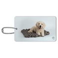 thumbnail image 1 of Golden Retriever Puppy Dog Knotty Blanket Luggage Card Suitcase Carry-On ID Tag, 1 of 8