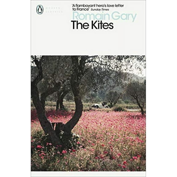 The Kites: Romain Gray (Paperback)