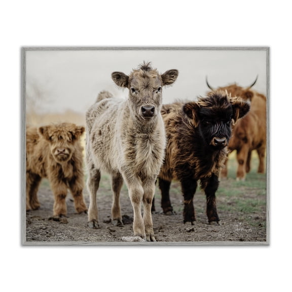Stupell Industries Farmhouse Baby Calves on Farm Gray Framed Giclee Art, 20 x 16, by Dakota Diener