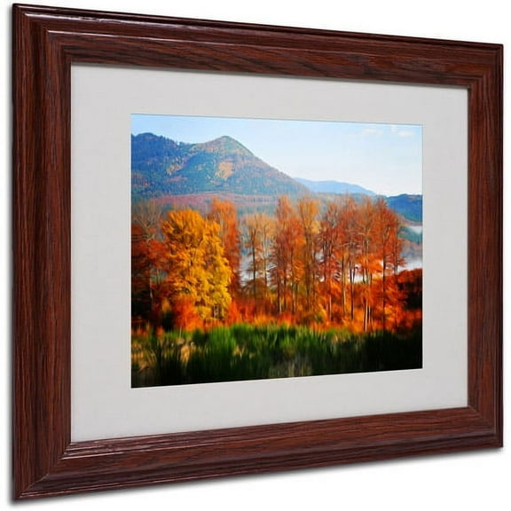 Trademark Fine Art "Swing" Canvas Art by Philippe Sainte-Laudy, Wood Frame