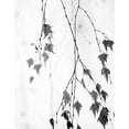 thumbnail image 3 of Cozart, Rebecca 15x18 Black Modern Framed Museum Art Print Titled - Subtle, 3 of 5