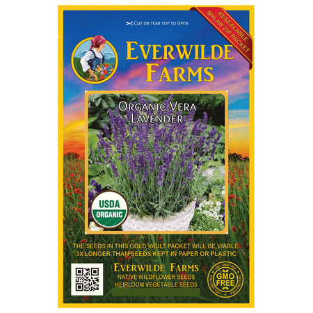 Everwilde Farms - 500 Organic Vera Lavender Herb Seeds - Gold Vault Jumbo Bulk Seed
