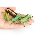 thumbnail image 2 of CNKOO Simulation d'Insectes en Plastique Modèle Préscolaire Miniature Jouet Éducatif pour Enfants, 2 of 9