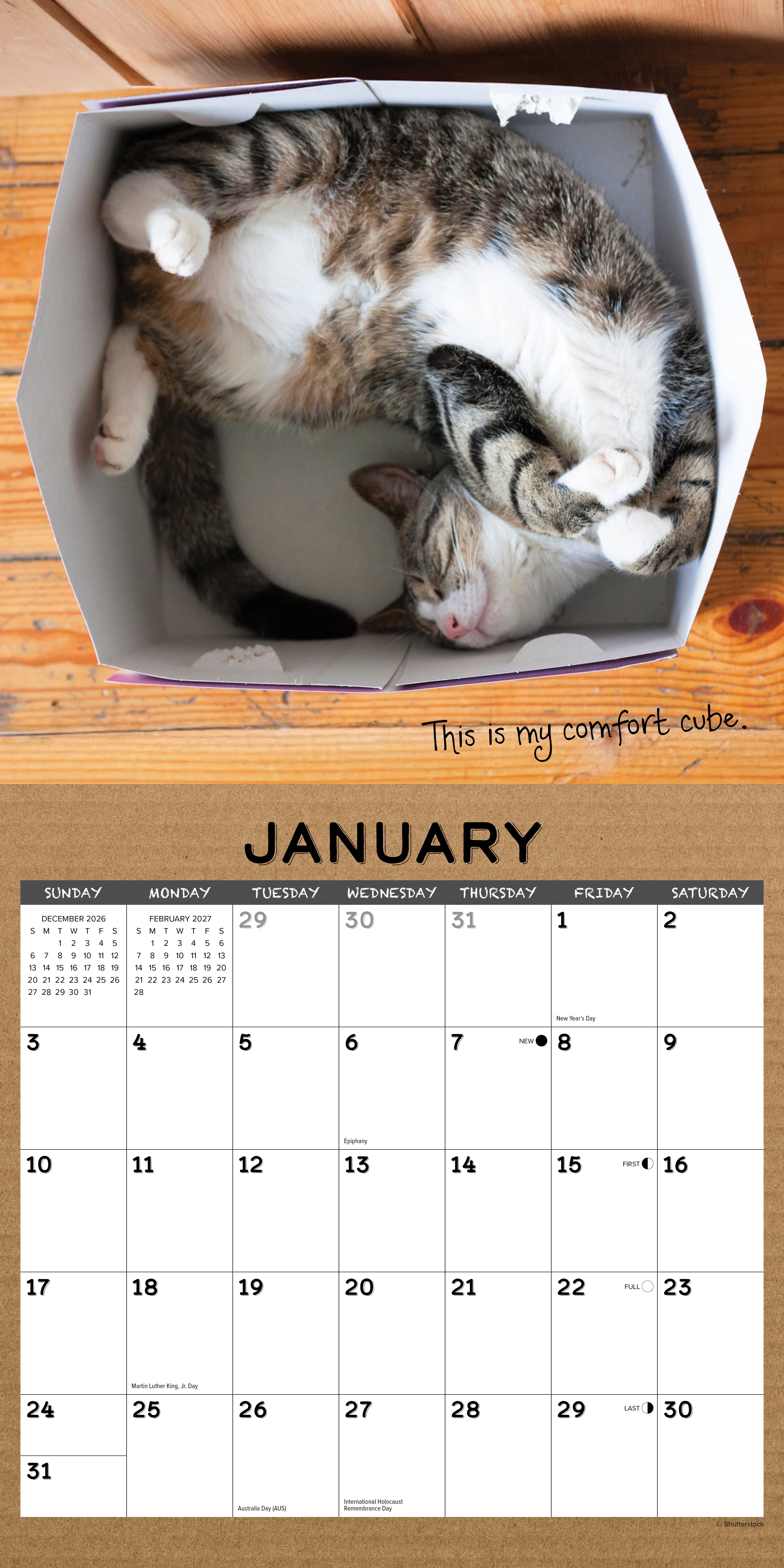 Willow Creek Press, Cat in a Box 2027 Wall Calendar