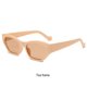 thumbnail image 4 of Guardurnaity Gafas de sol con campo de visión de alta definición para mayor claridad Gafas de sol de color caramelo Gafas con montura pequeña Lentes Marco de té/rebanadas de té, 4 of 6