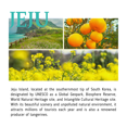 thumbnail image 3 of BeaumAnt Jeju Green Tangerine Cleansing Water 500ml, 3 of 11