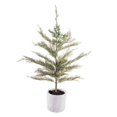 thumbnail image 1 of Vickerman EH214024 24 in. Green Cedar Sapling Potted, 1 of 1