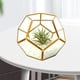 thumbnail image 5 of Presentación Geométrica Decoración del Envase Cobre Gloria Terrario Geométrico, 5 of 9