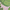 Palm Leaves, variant on Kitsch Spa Headband - Multi Functional Skincare Headband in Palm Leaves, Green, 1 Pack