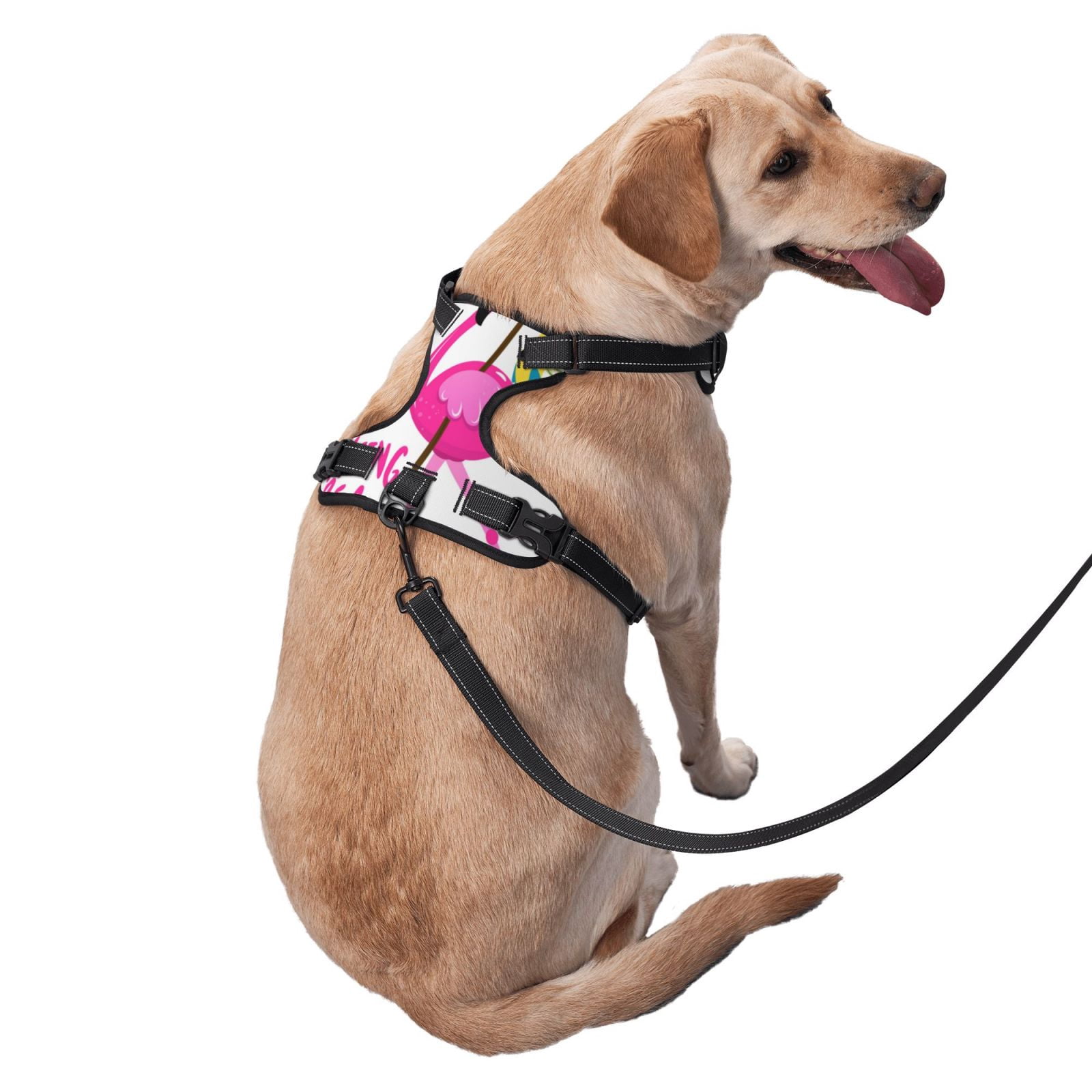 Vsdgher It'S Flamazing To Be A Pirate Dog Harness, No-Pull Pet Harness, Dog Vest, Pet Vest for Small to Large Dogs-Medium