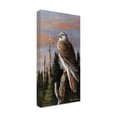 thumbnail image 2 of Trevor V. Swanson 'Storm Watcher' Canvas Art, 2 of 4