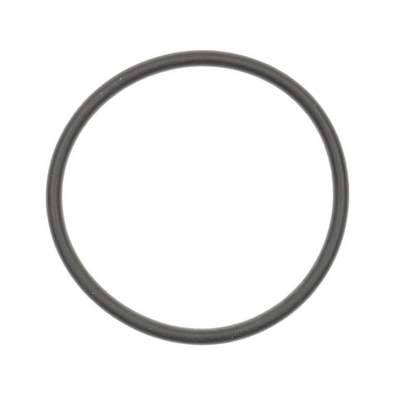 Thermostat Gasket - Compatible with 2011 - 2019 Ford F-150 2012 2013 2014 2015 2016 2017 2018