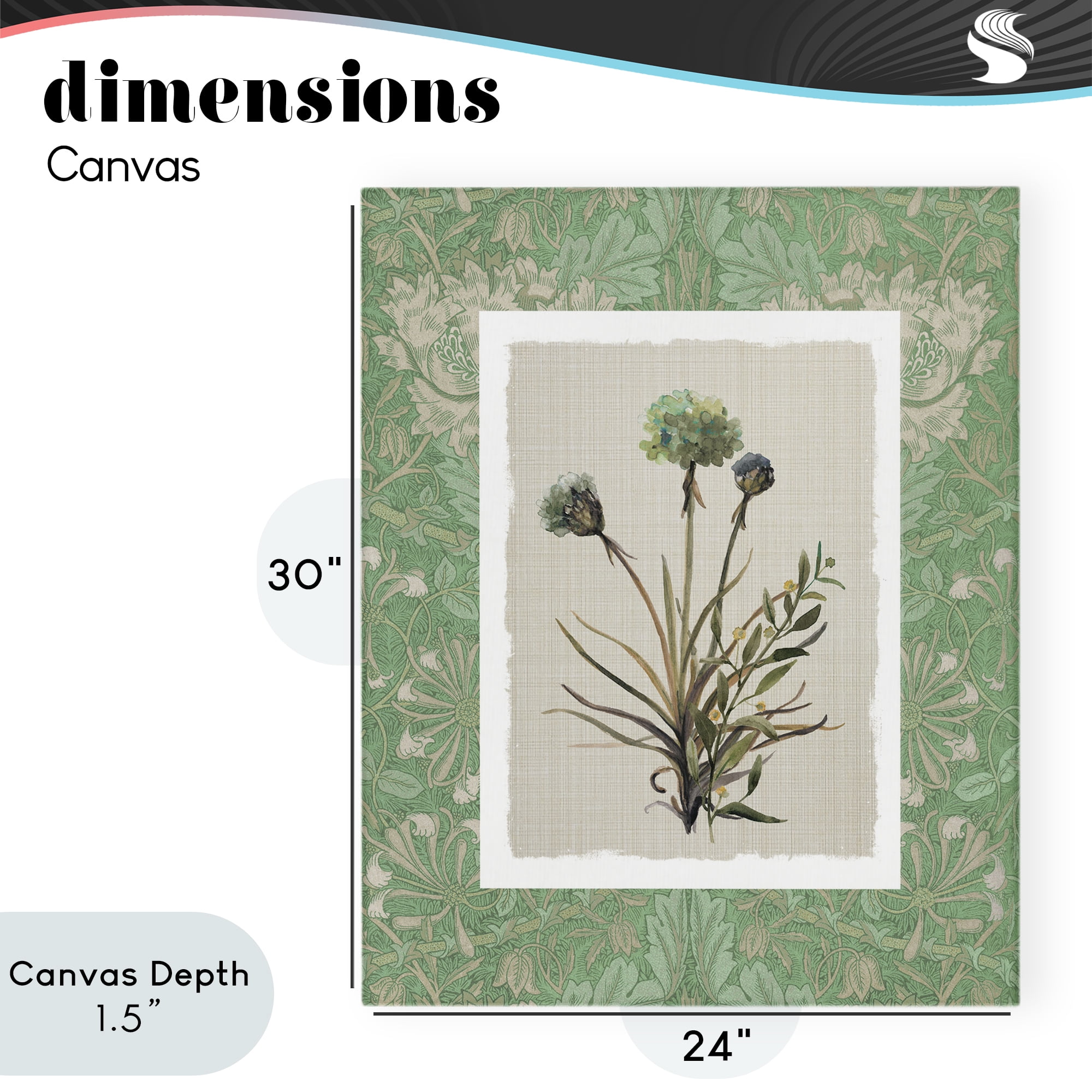 Stupell Industries Vintage Foliage in Green Canvas Wall Art, design by Carol Robinson
