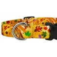 thumbnail image 5 of Country Brook Petz® Autumn Wind Everyday Dog Collar and Leash, Large, 5 of 6