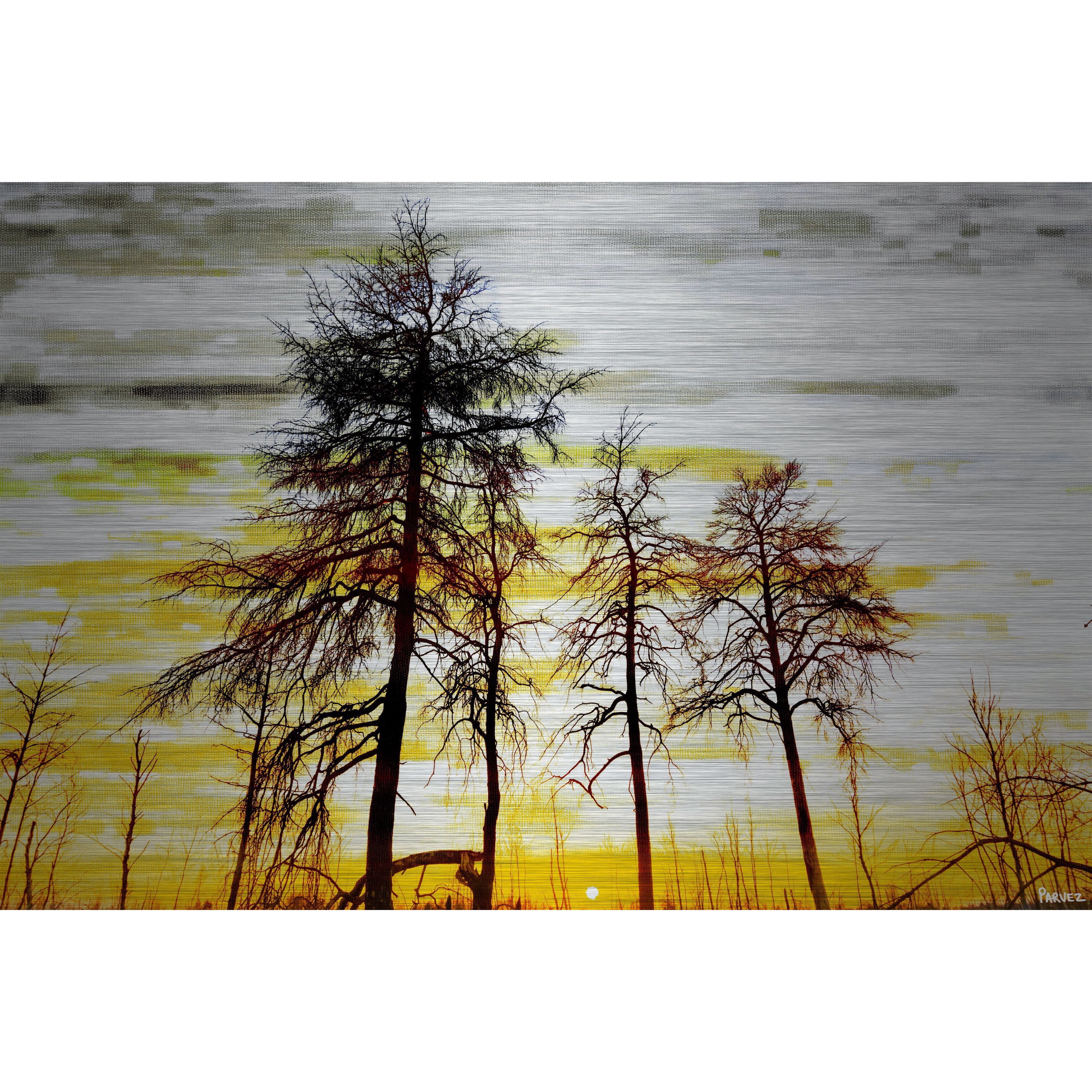 "Trees Against Gold Sky" Painting Print on Brushed Aluminum