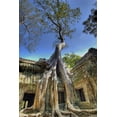 thumbnail image 2 of Shimlock, Jones 17x24 Black Ornate Wood Framed with Double Matting Museum Art Print Titled - Cambodia, Angkor Wat Ruins of Beng Melea Temple, 2 of 4