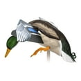 thumbnail image 6 of Avian X PowerFlight Smart Motion Mallard Weatherproof Realistic Decoy, 6 of 11