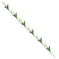 thumbnail image 2 of KUMHONW 12PCS Artificial Eucalyptus Leaf Bouquet Simulation Branches for Floral Arrangement Lifelike Greenery Decor Natural Color and Odor Home and Event Decoration, 2 of 5
