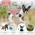 thumbnail image 5 of Dog Sanitary Panties, Reusable Washable Female Dog Diaper with Suspender, Breathable Dog Physiological Underwear Jumpsuit with Adjustable Strap for Girl Teddy Young Corgi French Bulldog Incontinence, 5 of 6