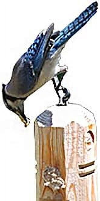 Wildlife Sciences Sunflower Suet Plugs 12 oz | Case of 12