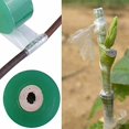 thumbnail image 3 of 10 Piezas Cinta de Injerto Cinta Estirable de Injerto de Vivero Cinta de Película Cinta Adhesiva Cinta Estirable Cinta de Barrera de Humedad para Reparación de Plantas de Injerto 2 cm, Verde, 3 of 5