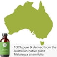 thumbnail image 3 of Tea Tree Essential Oil for Face, Hair, Diffuser, Therapeutic Grade 4 fl oz by Pure Body Naturals, 3 of 6