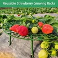 thumbnail image 3 of Yazoeia Strawberry Plant Support, Reusable Strawberry Growing Racks, Adjustable Plant Stand Strawberry, Growing Holder for Strawberry Planting, Keeping Fruit Off Rot and Berries Clean (10, 3 of 7